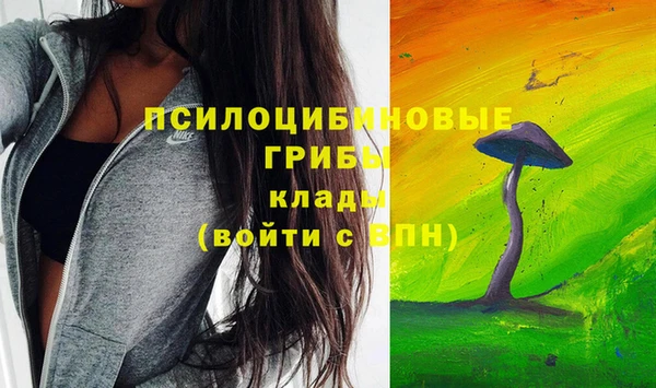 не бодяженный Абаза