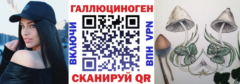 Псилоцибиновые грибы Psilocybe  Ангарск 